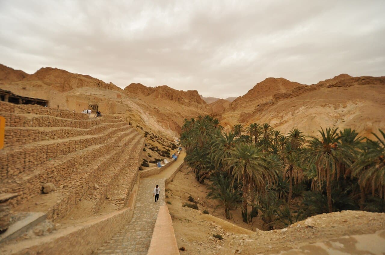 Chebika Oasis